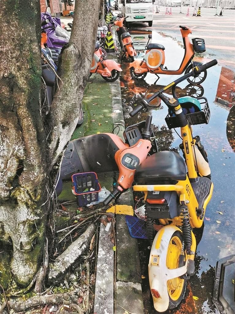 广州禁投共享电单车，企业违规投放酿隐患