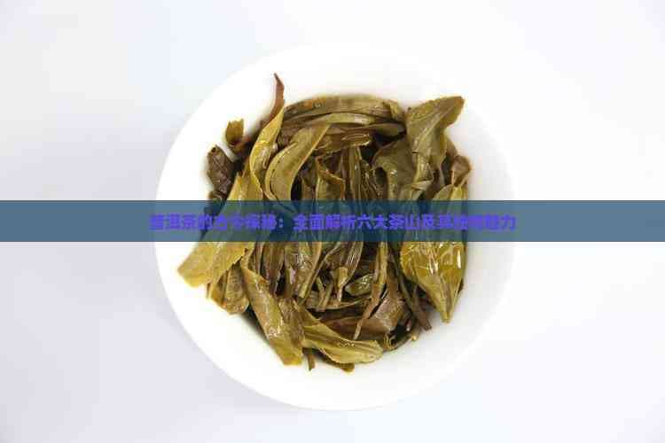 普洱茶的古今探秘：全面解析六大茶山及其独特魅力