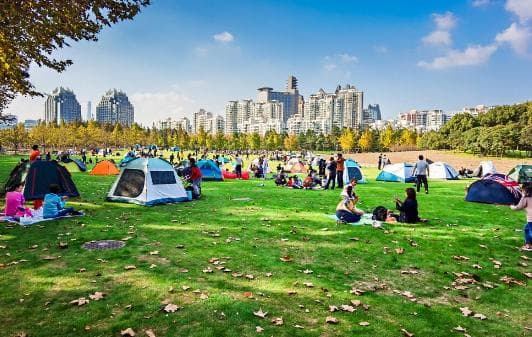 上海世纪公园：24小时开放的都市绿洲，免费游玩攻略全解析