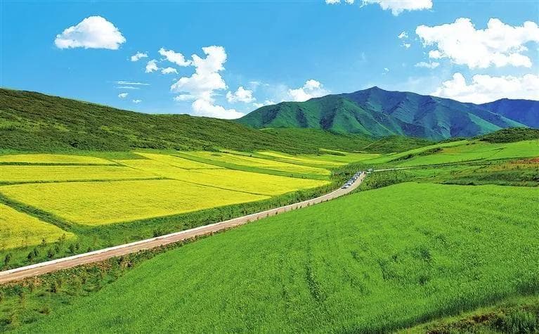 矢志向绿行 荒漠绘丹青——武威市持续推进防沙治沙工作综述
