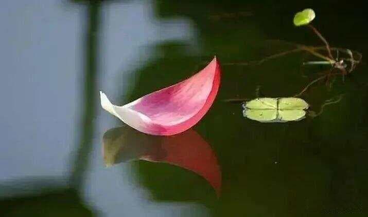 舌为利害本，口是祸福门。口德与人生福祸的微妙关系