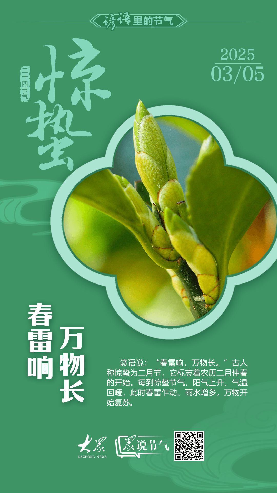 谚语里的节气·惊蛰丨春雷响，万物长