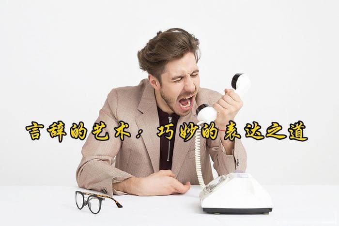 言辞的艺术：巧妙的表达之道
