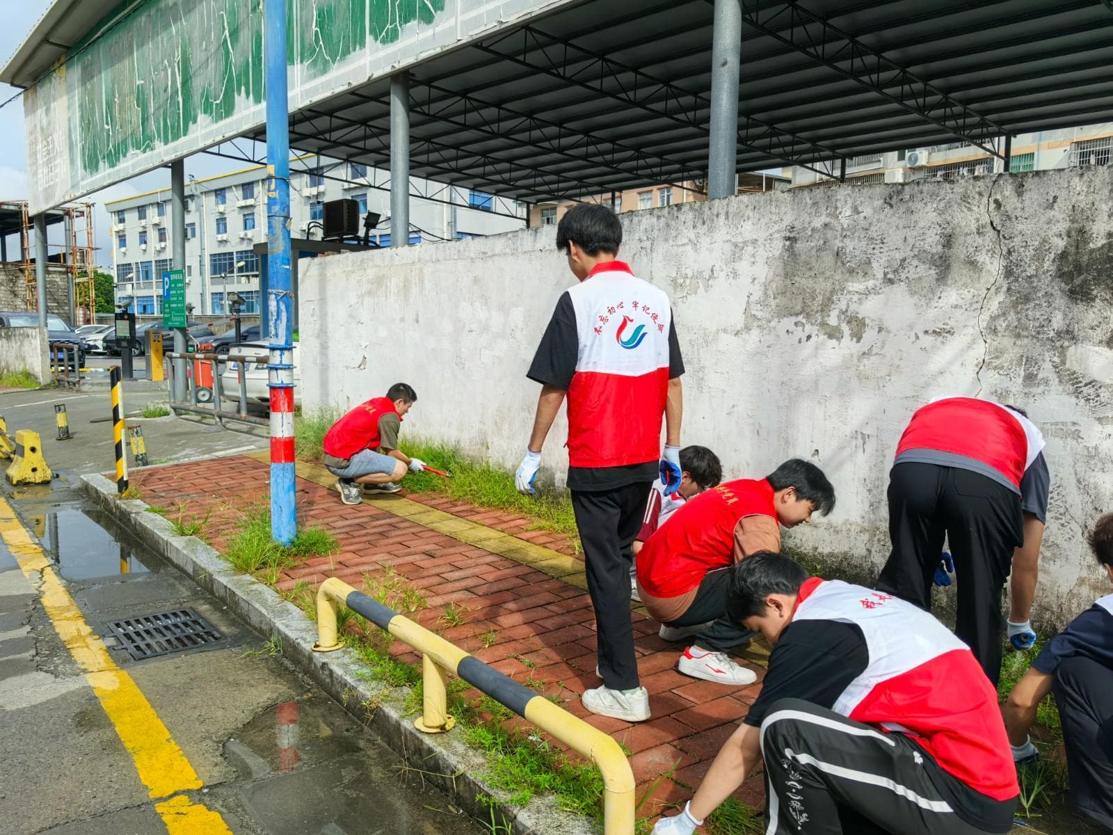 清积水，灭蚊虫……凤凰街多部门联动防控登革热获居民支持