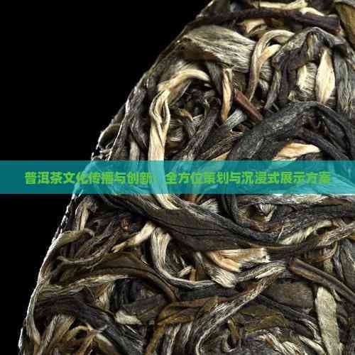 普洱茶文化传播与创新：全方位策划与沉浸式展示方案