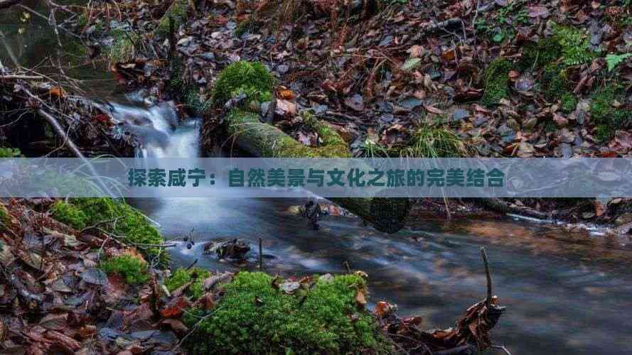 探索咸宁：自然美景与文化之旅的完美结合