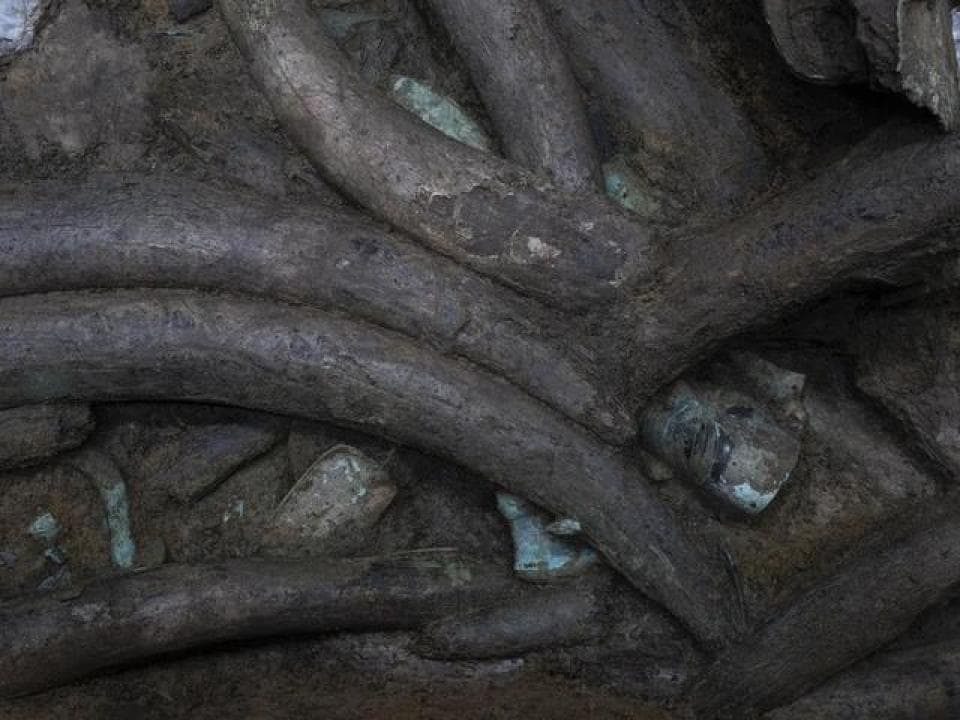 象牙：古蜀人治水的神器