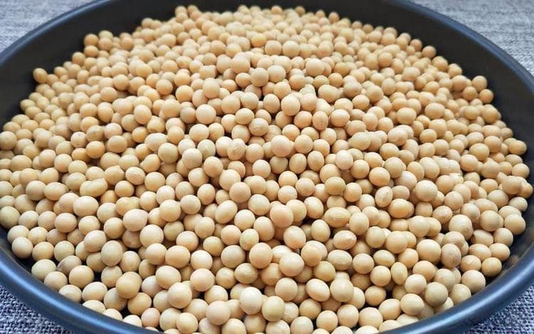 长时间存放的黄豆还能吃吗？专家教你判断！