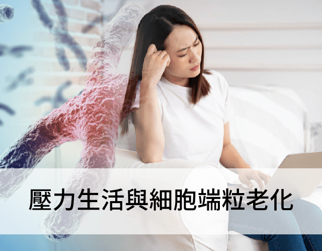 压力生活与细胞端粒老化