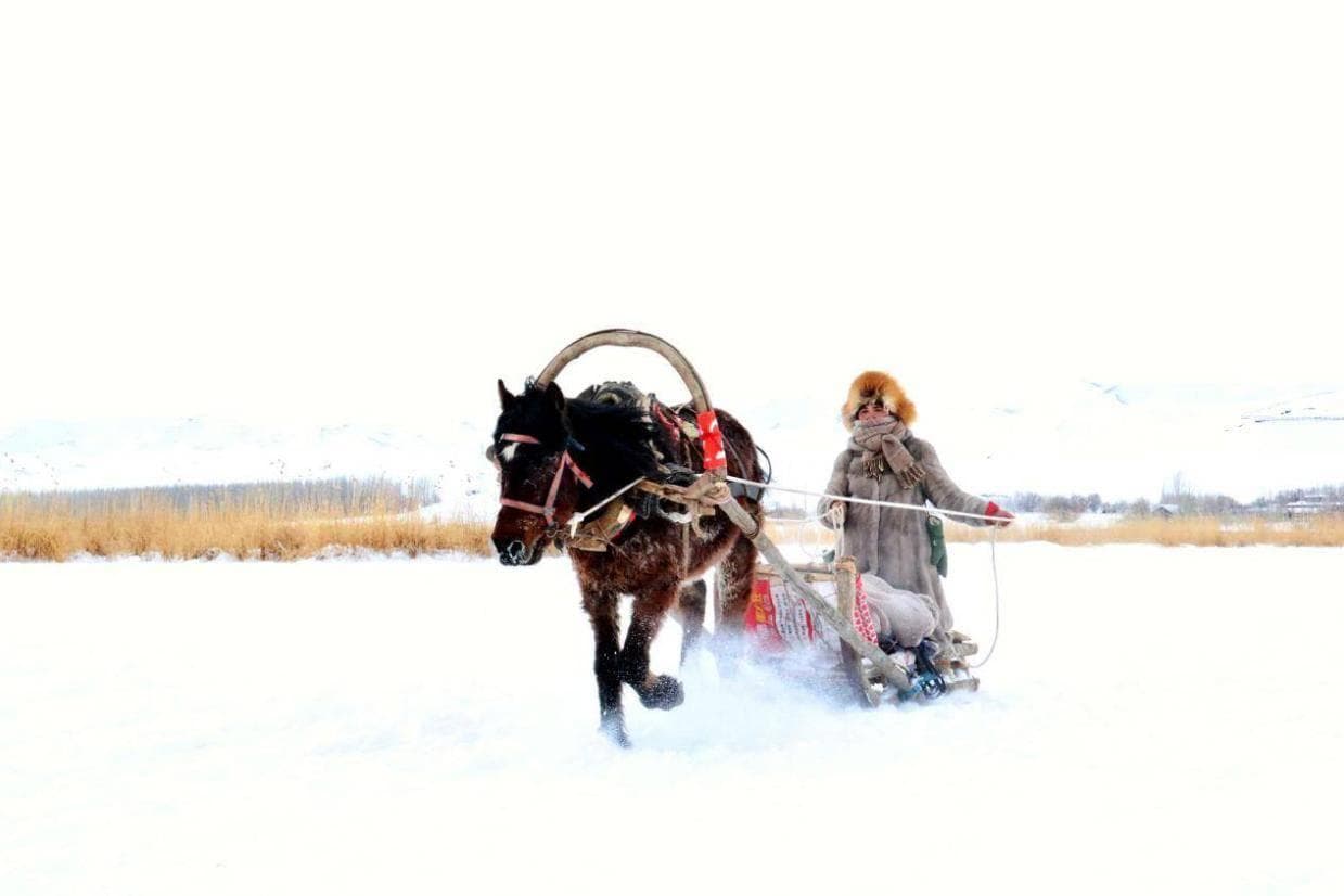 可可托海冰雪季：马拉爬犁从传统工具到旅游招牌