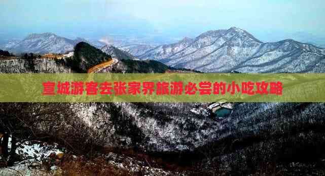 宣城游客去张家界旅游必尝的小吃攻略