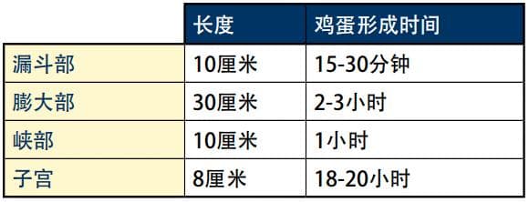 薄薄的鸡蛋壳竟大有讲究？！
