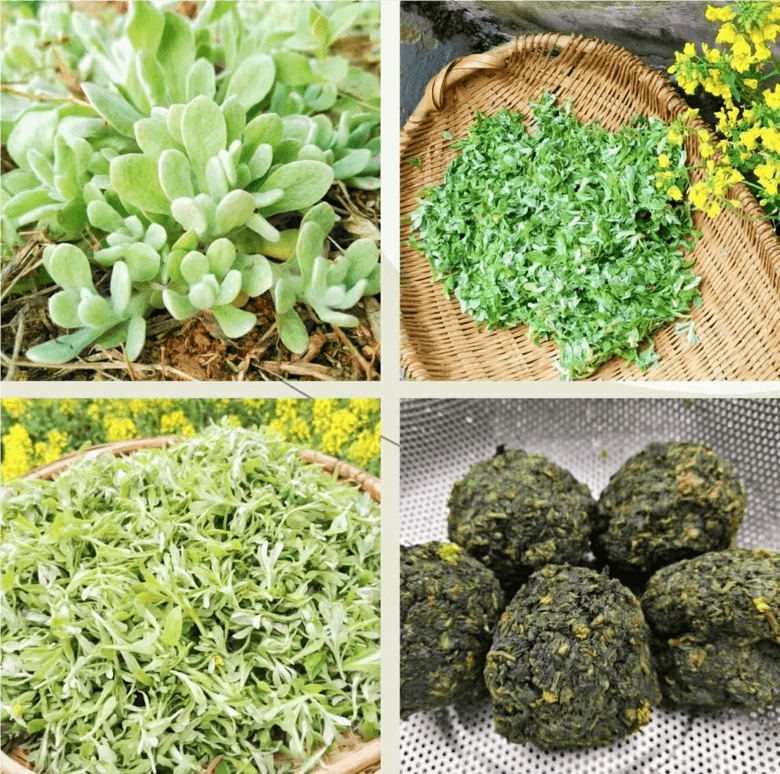 太湖：有一种味道叫“水萩粑”