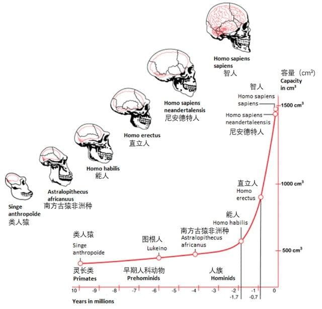 靠后天努力，能在智商上卷过隔壁天生头大的同学吗？