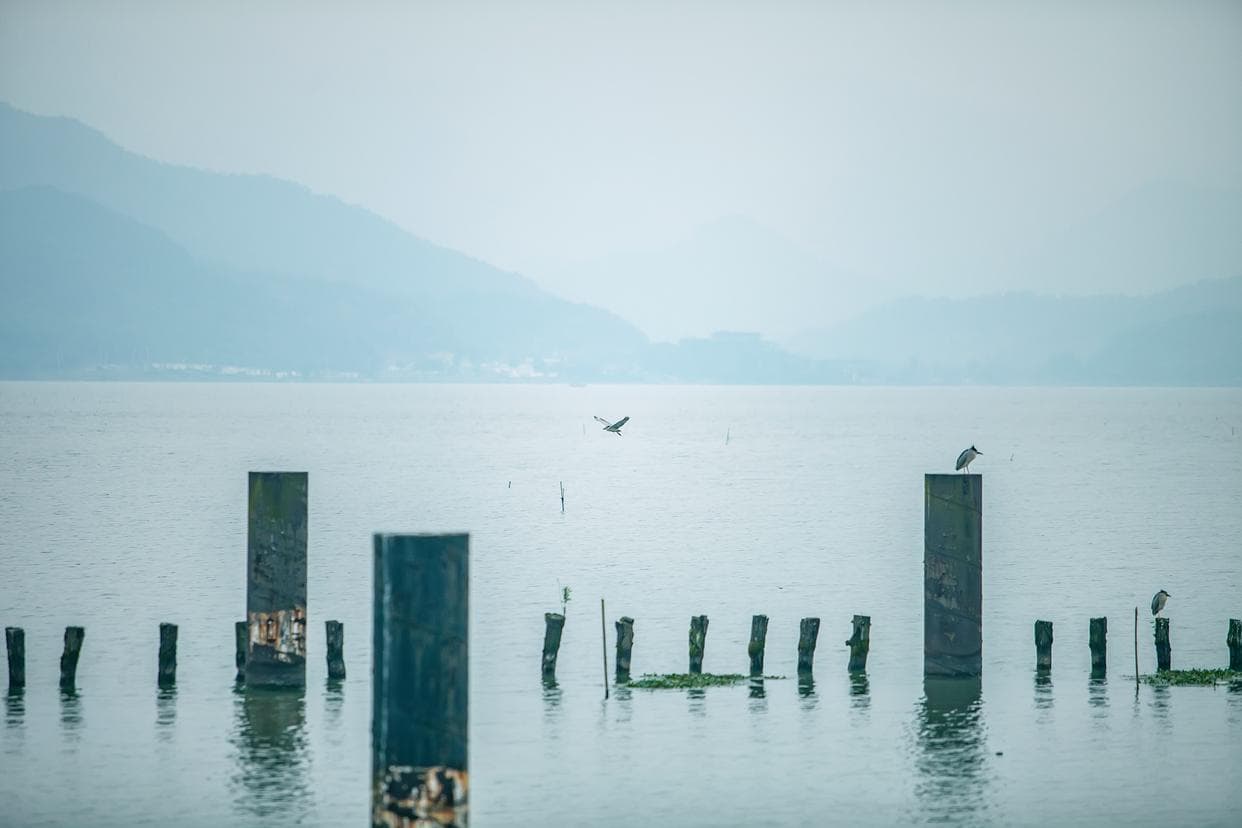 宁波东钱湖，水乡美景，畅游宁波