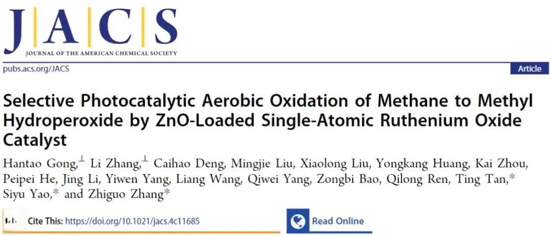 新型催化剂！浙江大学姚思宇，新发JACS！