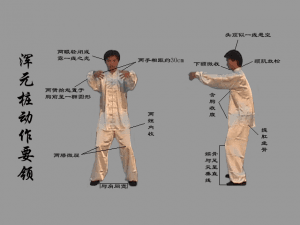 养生功：武国忠大道至简浑元桩