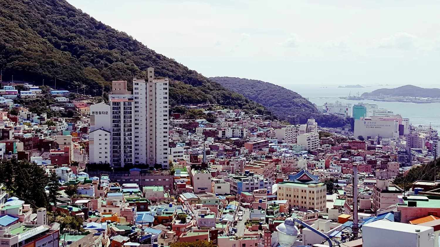 大连特色旅游项目：下一个网红打卡地？