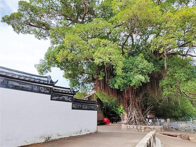 19座祠堂33座府第，汕头程洋冈村文旅融合促振兴