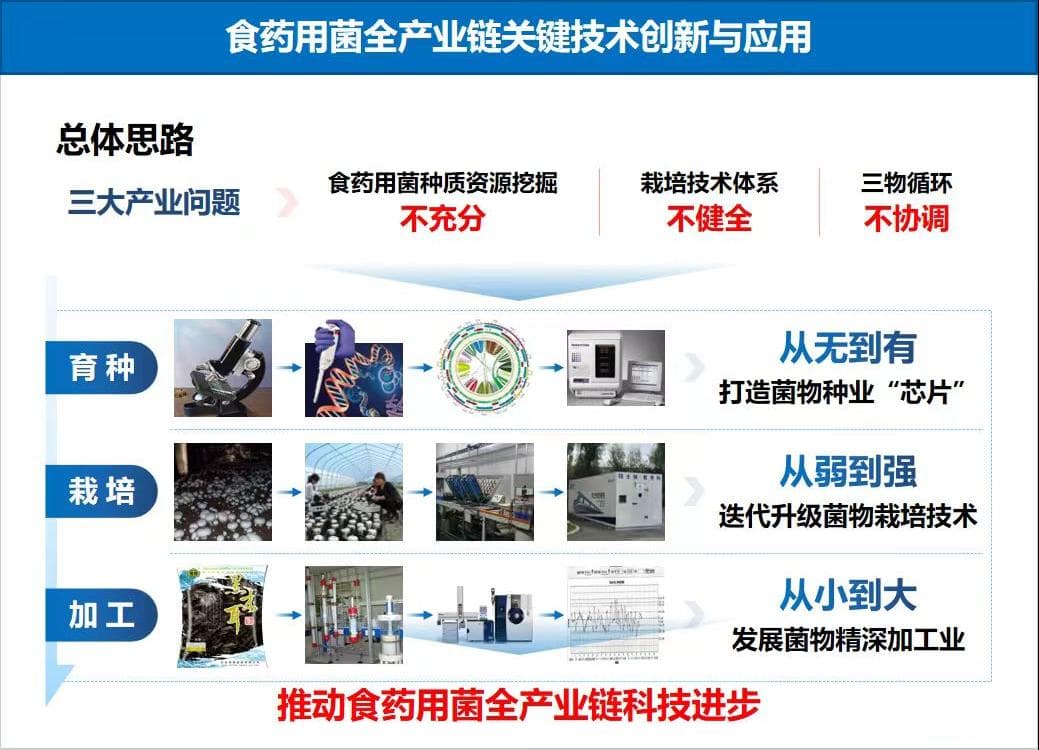 促进中医药传承创新发展——中药新成果新技术展示