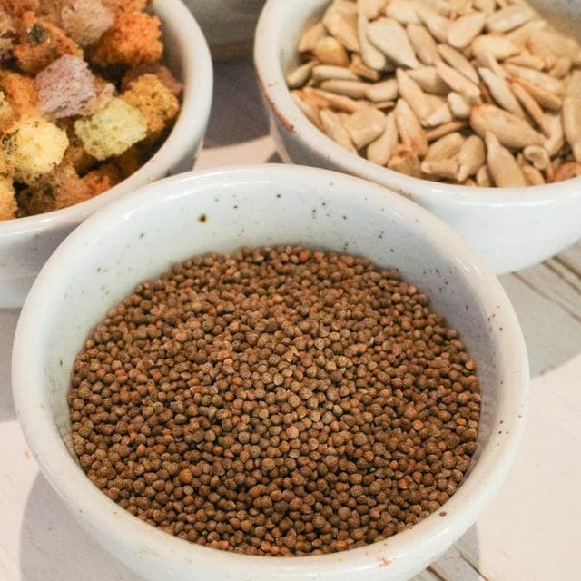 奇亚籽和兰香子的区别