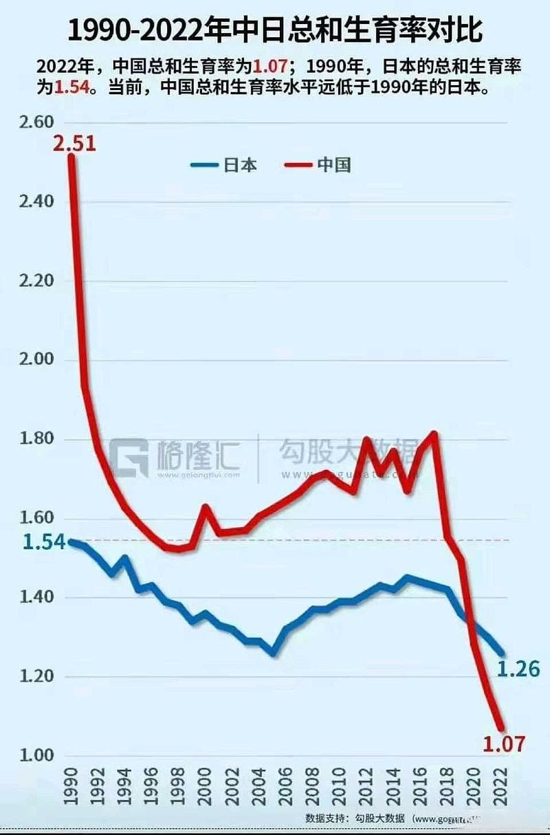 中国企业利润率下降之谜