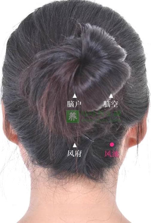 风池穴的准确位置图,艾灸按摩风池穴的作用及功效