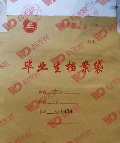 个人档案管理指南：从保存到互联网查询