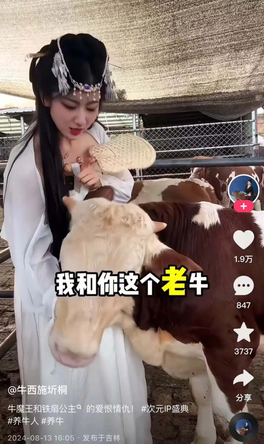 快手上的农村生活，现代赛博桃花源记