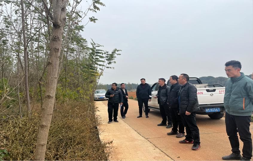 打好耕地保护“组合拳” 夯实粮食安全“耕”基