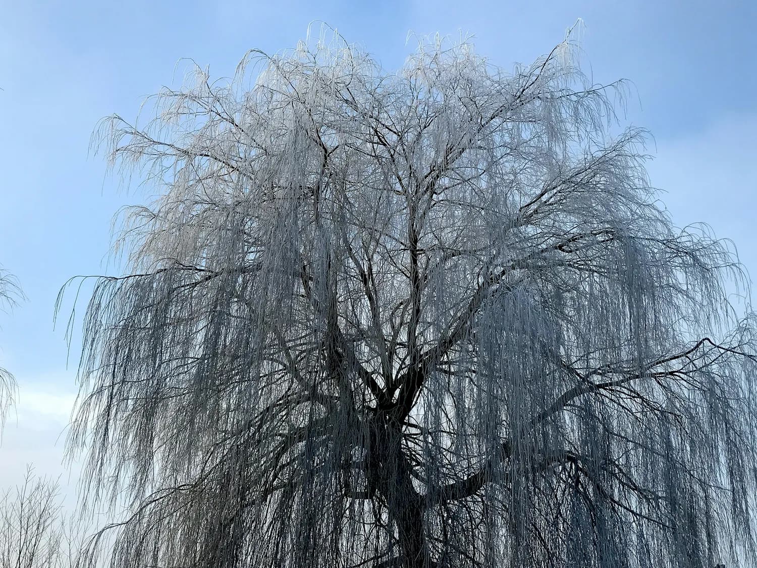 怀柔未来一周冷到爆！最低零下17℃，这些人群需特别注意