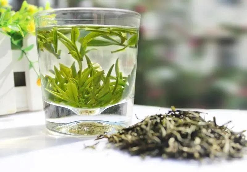 一杯香茗，探寻生活哲理 —— 解锁繁忙日常中的心灵慰藉