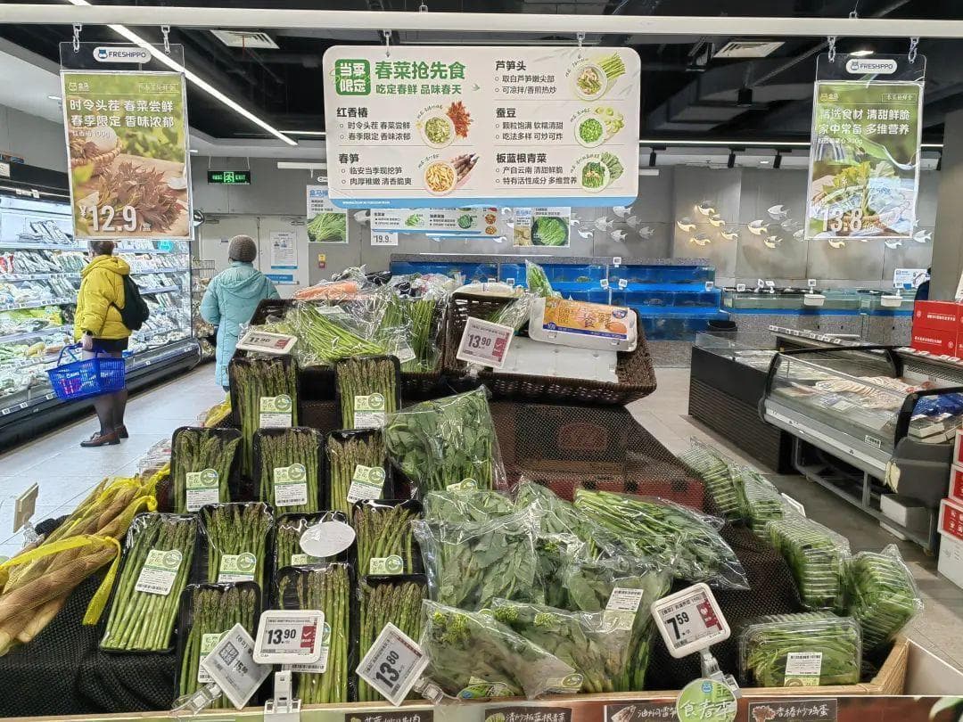 去掉苦味留下营养的“板蓝根青菜”，你吃过了伐？