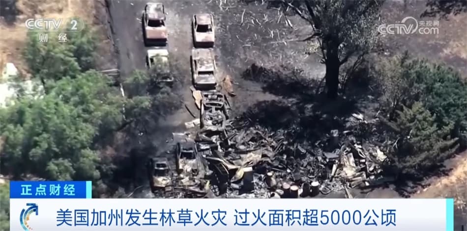 美国加州发生林草火灾 过火面积已超5000公顷