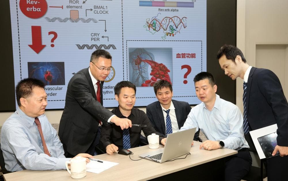 成果写入世界权威教科书，上海这一跨学科医学团队获国自然创新研究群体项目