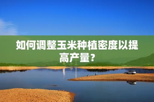 如何调整玉米种植密度以提高产量？