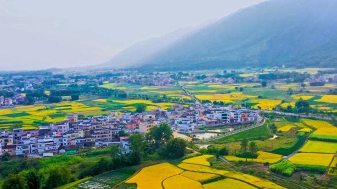 韶关：以全域土地综合整治激发乡村振兴新动能