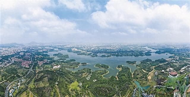 东莞松山湖科学郊野公园：湖光与白鹭齐飞 林海共科技一色
