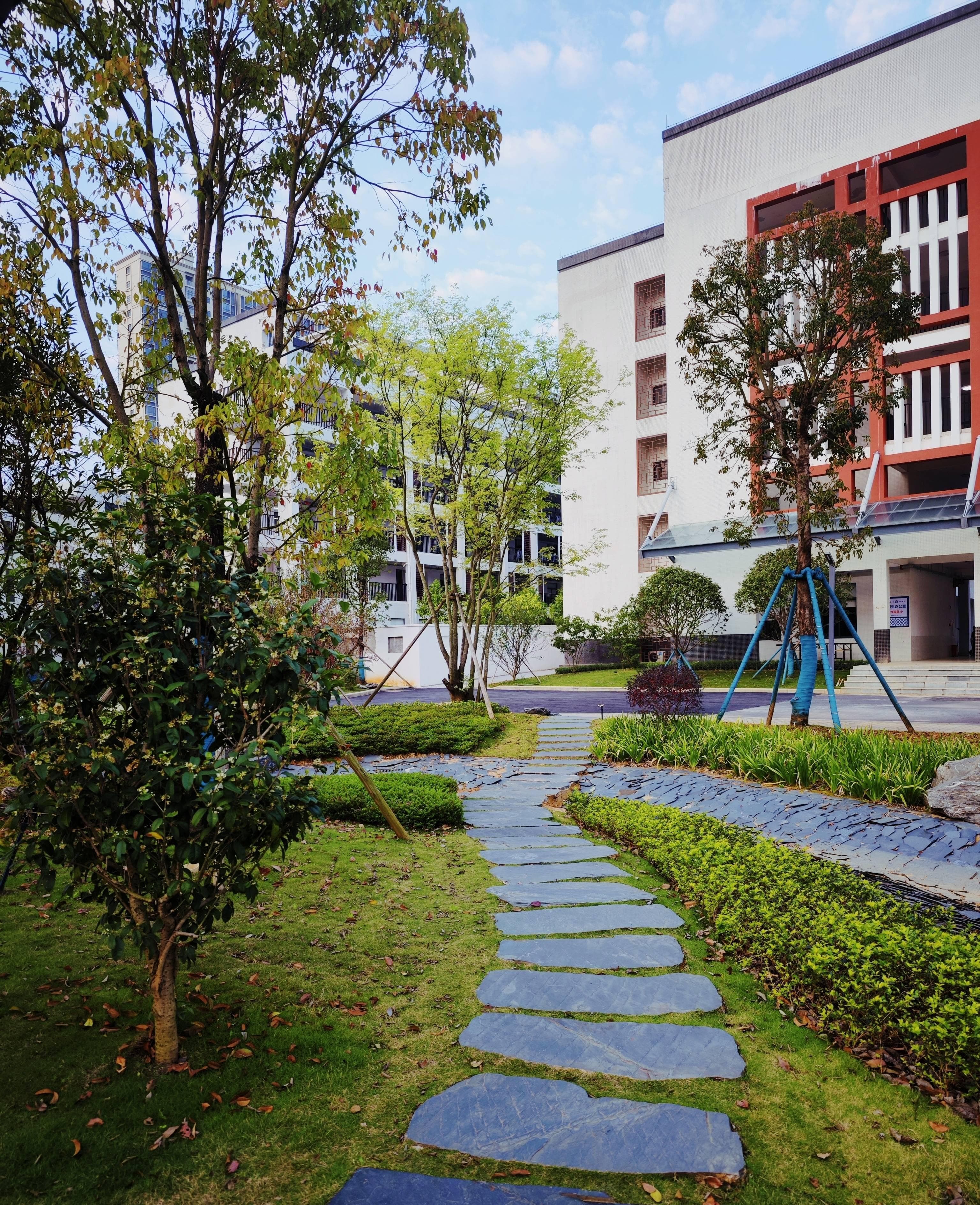 时间管理的艺术：高中生如何平衡学习与兴趣爱好的探索