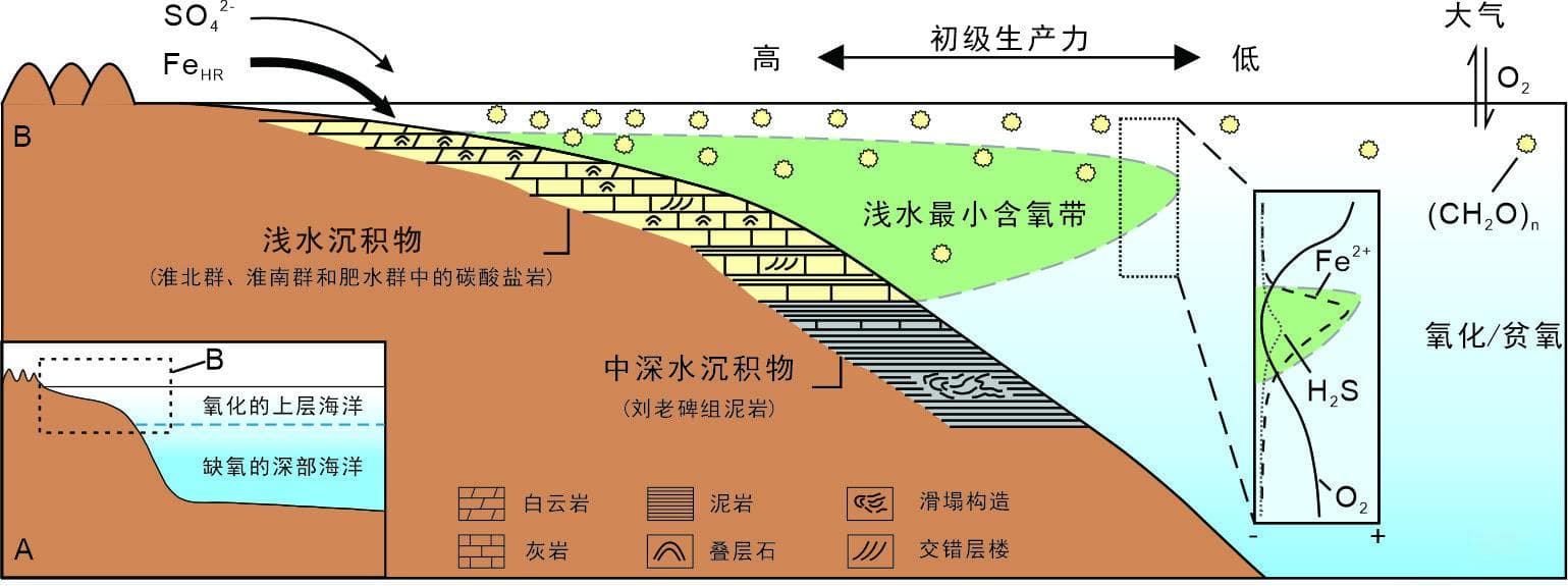 研究发现新元古代早期海洋浅水环境发育最小含氧带