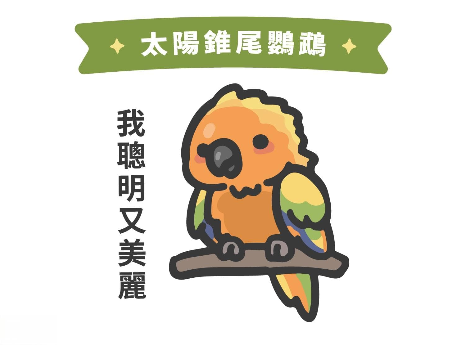 五种适合新手饲养的宠物鸟介绍｜饲养注意事项及优缺点分析