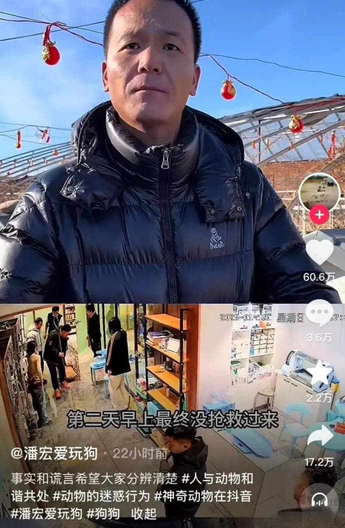 潘宏又“训死”一只狗？与邓峰“互撕”，账号内容被“一夜清空”