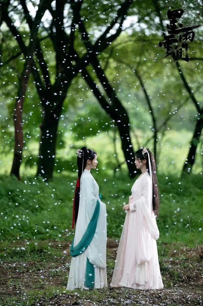 深入剖析《墨雨云间》：女性主义题材作品的模式颠覆与创新