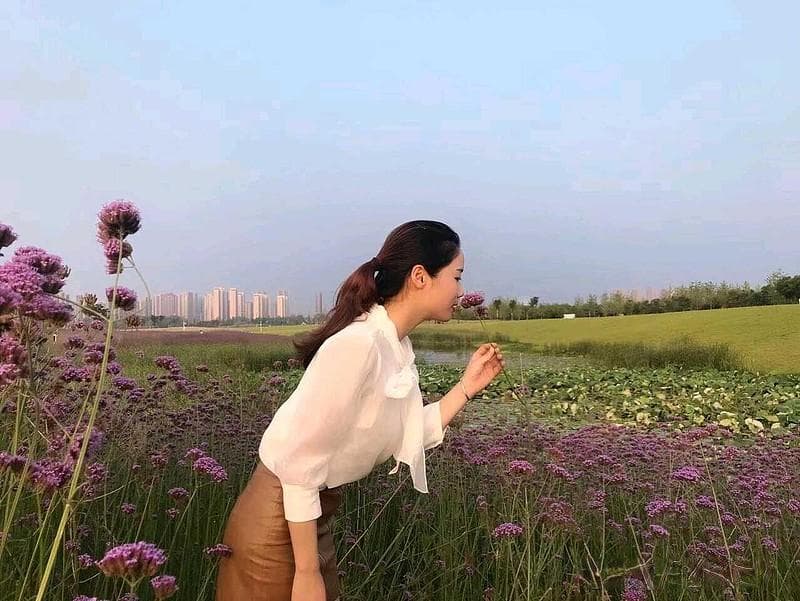自相矛盾的迷宫：生活中的悖论与智慧启示