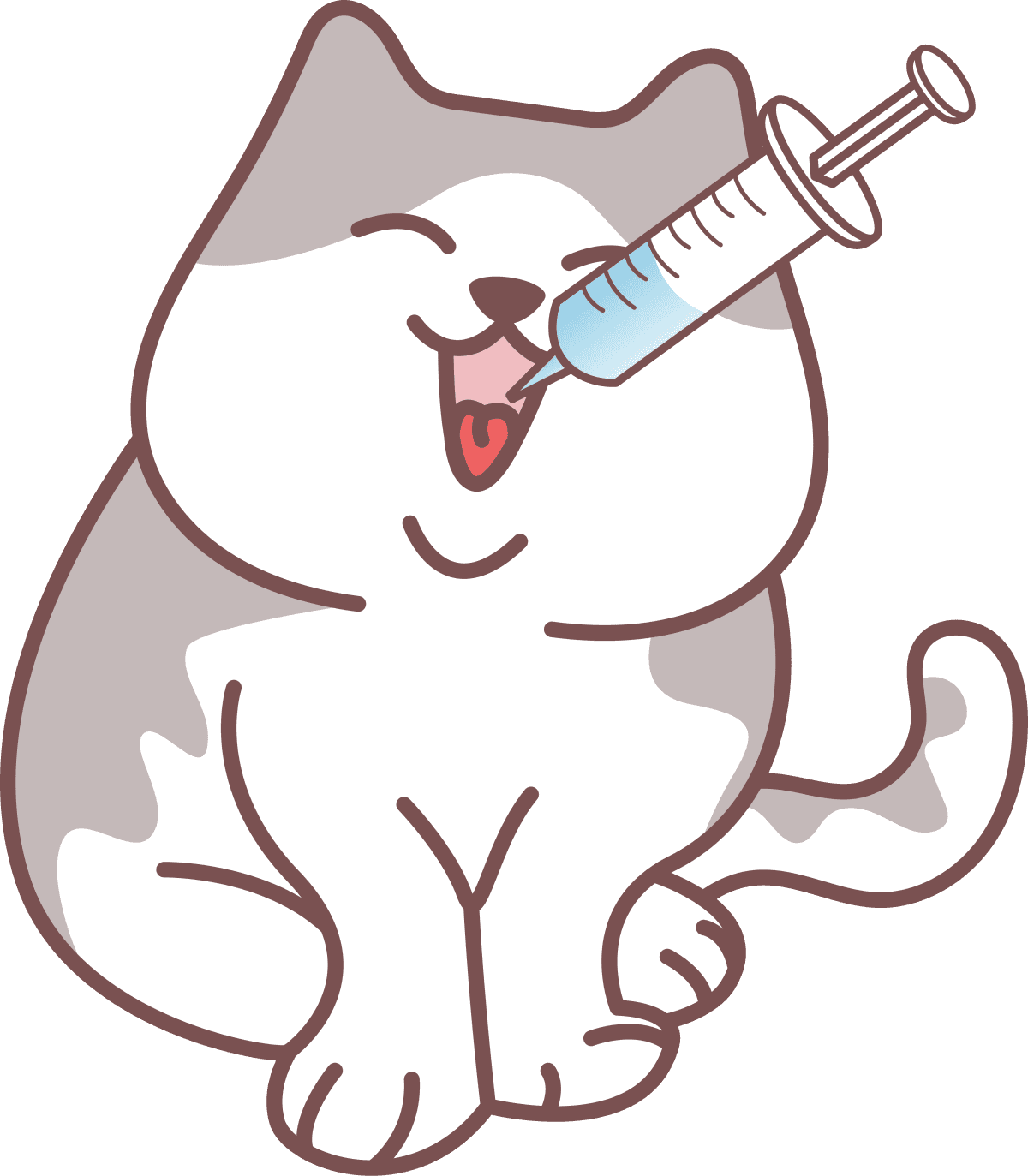 猫咪牙龈红肿用什么药？治疗与护理全攻略