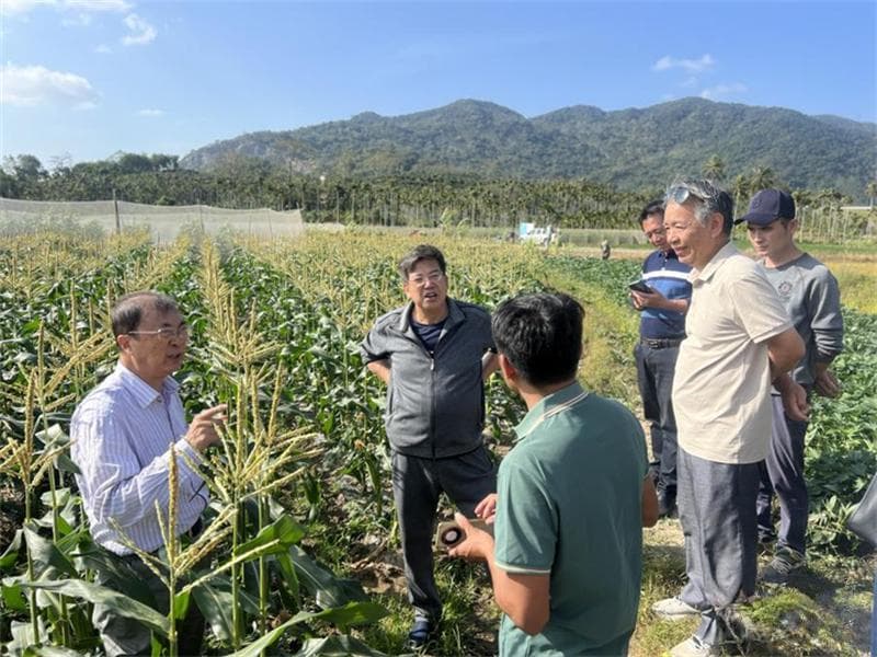 南繁成果落地生“金”，激发乡村振兴新活力