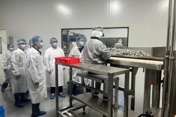 食品新标准实施 面包糕点彻底摆脱“脱氢乙酸钠”
