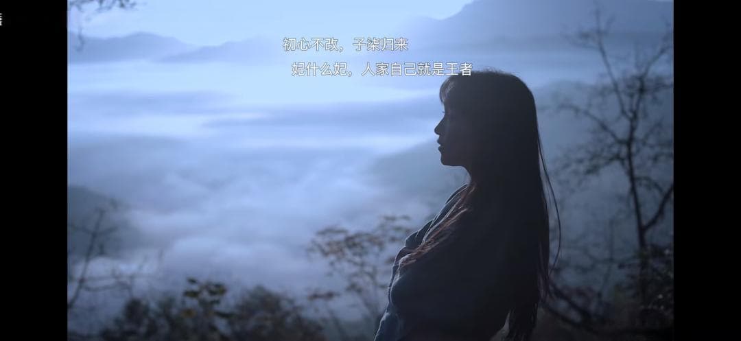 一夜涨粉400万，李子柒如何掀起文旅狂潮？