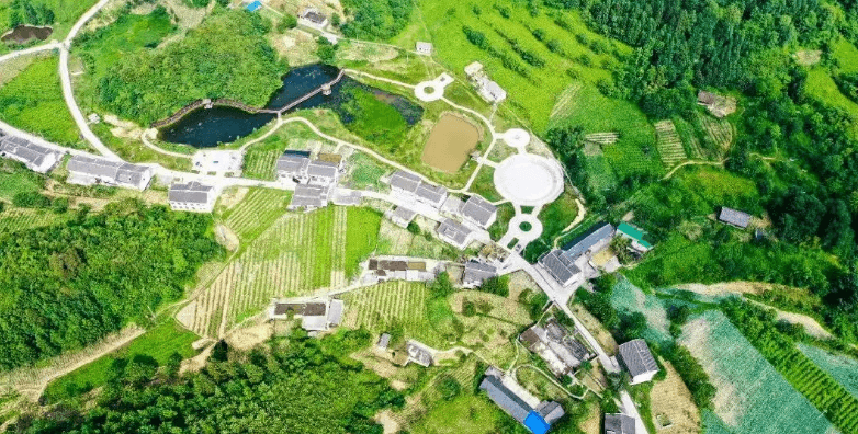 河山村：绘就乡村振兴美丽画卷