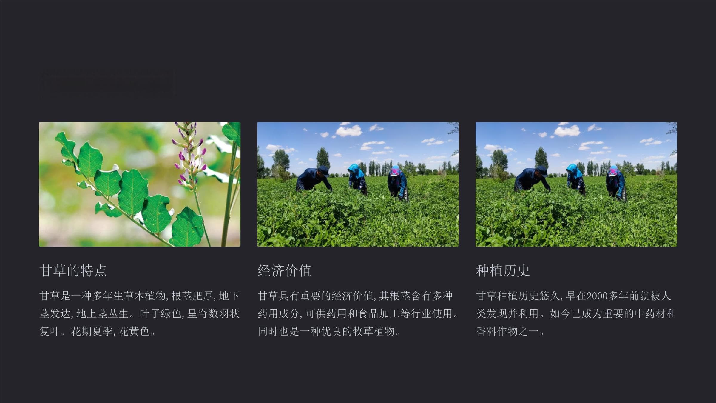 甘草种植技术指南
